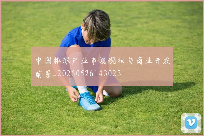 中国排球产业市场现状与商业开发前景_20260526143023