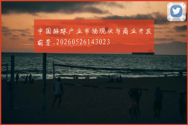 中国排球产业市场现状与商业开发前景_20260526143023