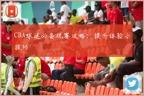 CBA球迷必备观赛攻略:提升体验小技巧